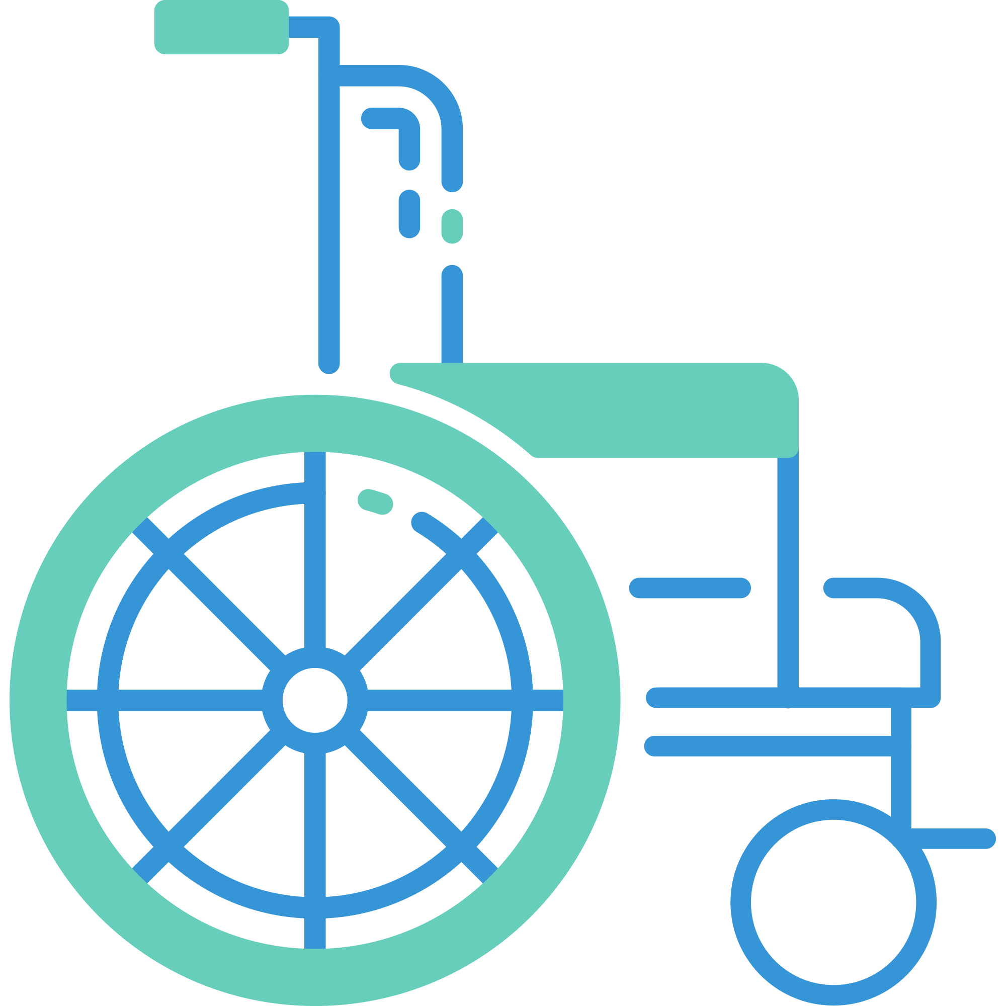 Transferências & Cirurgias